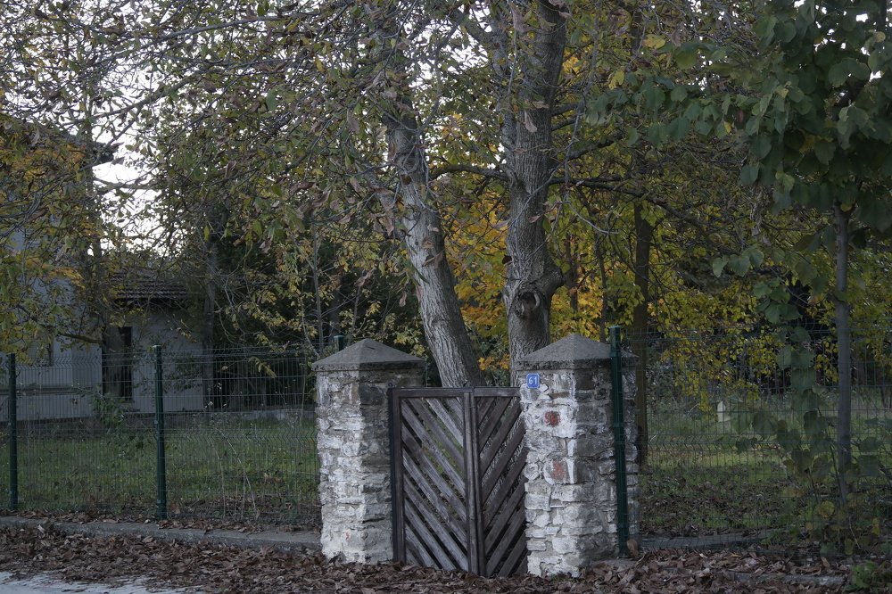 Photograph by Sedef Onum