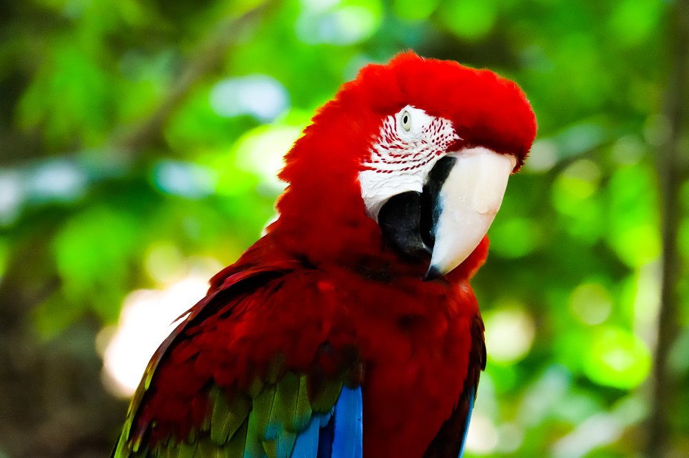 Photograph by firanurfitra