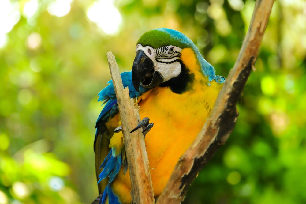 Photograph by firanurfitra