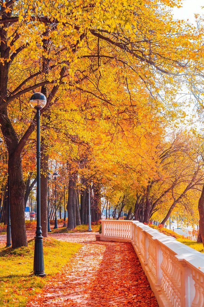 Photograph by Шувалова Мария