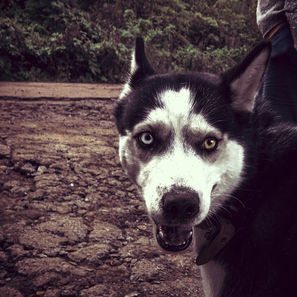 Photograph by Дмитрий Гришкевич