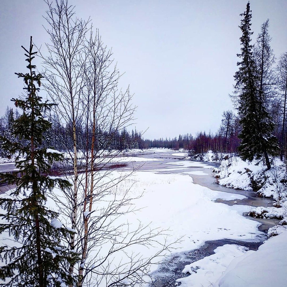 Северная природа