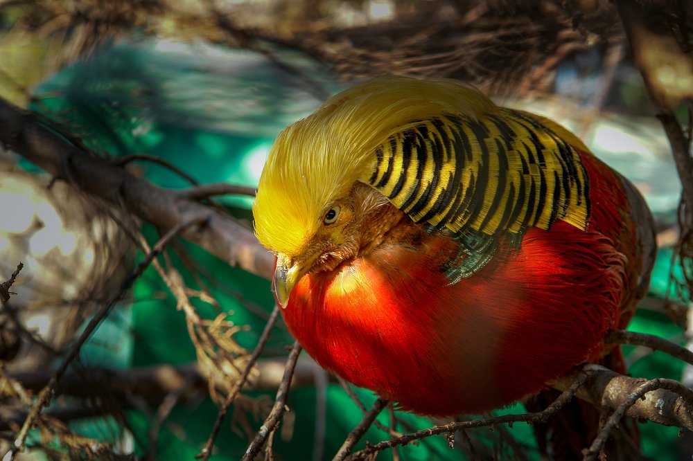 Photograph by Сычев Эдуард