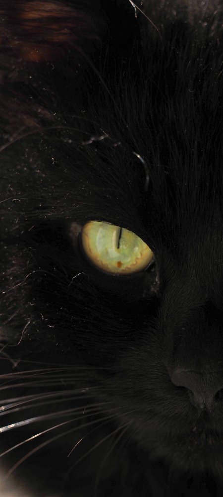 Photograph by Анна Алексеева