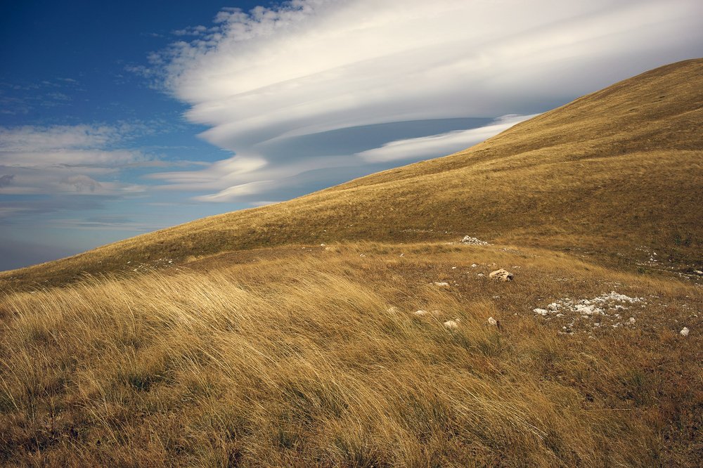 Photograph by Сергей Сережников