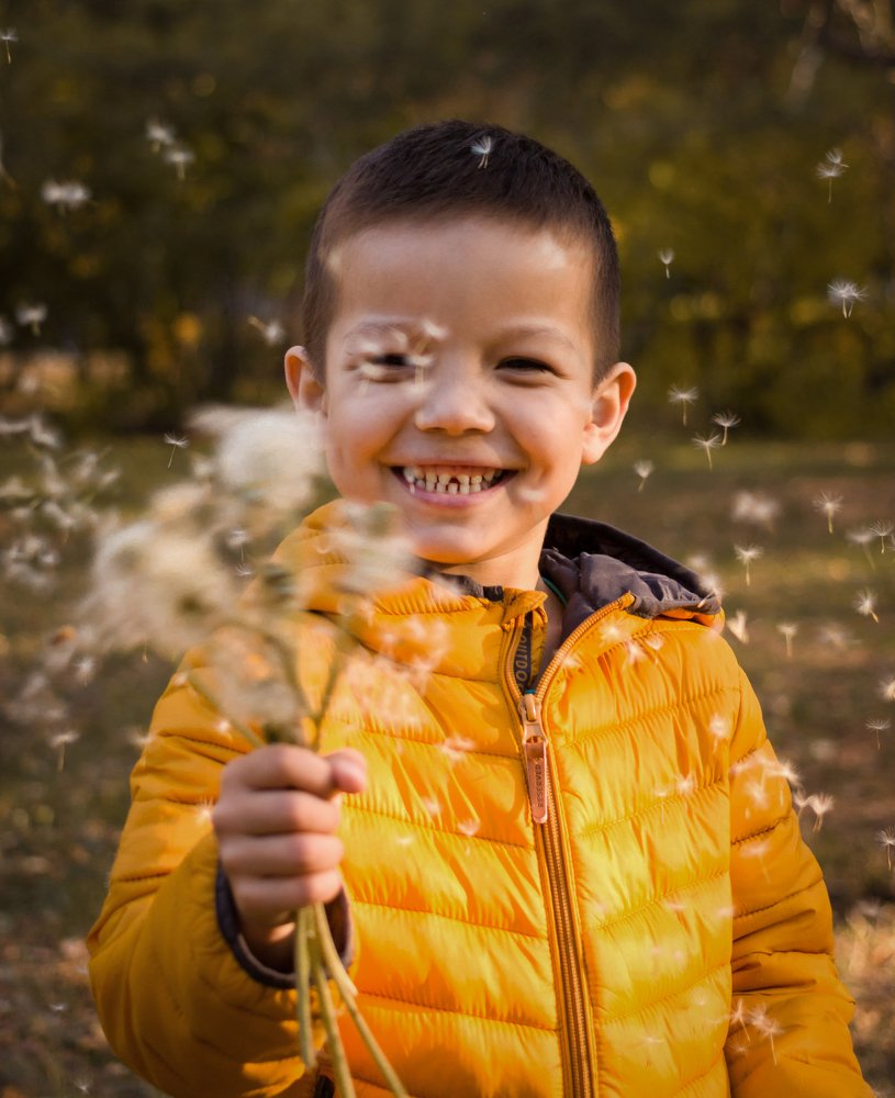 Осенние одуванчики