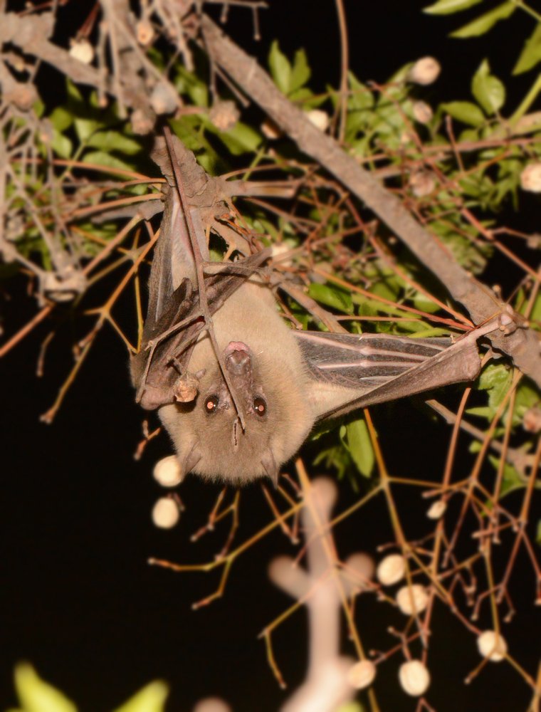 Фотография автора Ася Бабушкина
