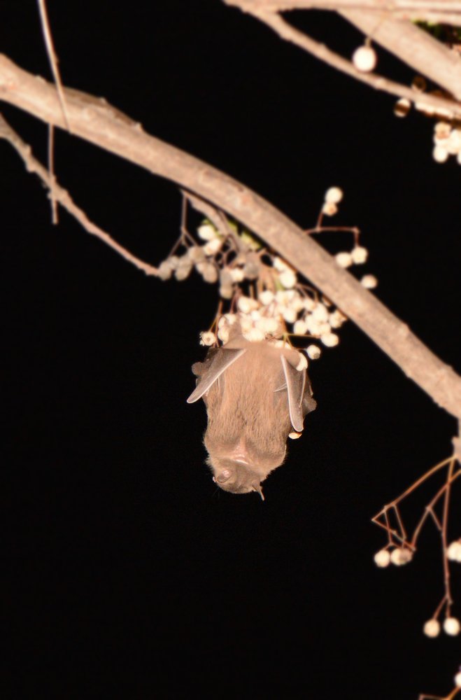 Фотография автора Ася Бабушкина