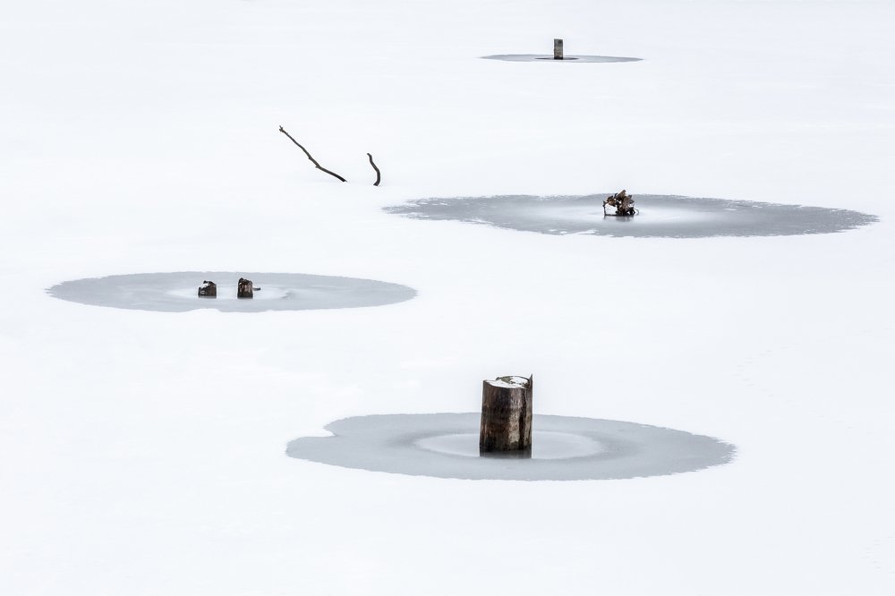 Фотография автора Мартыненко Дмитрий