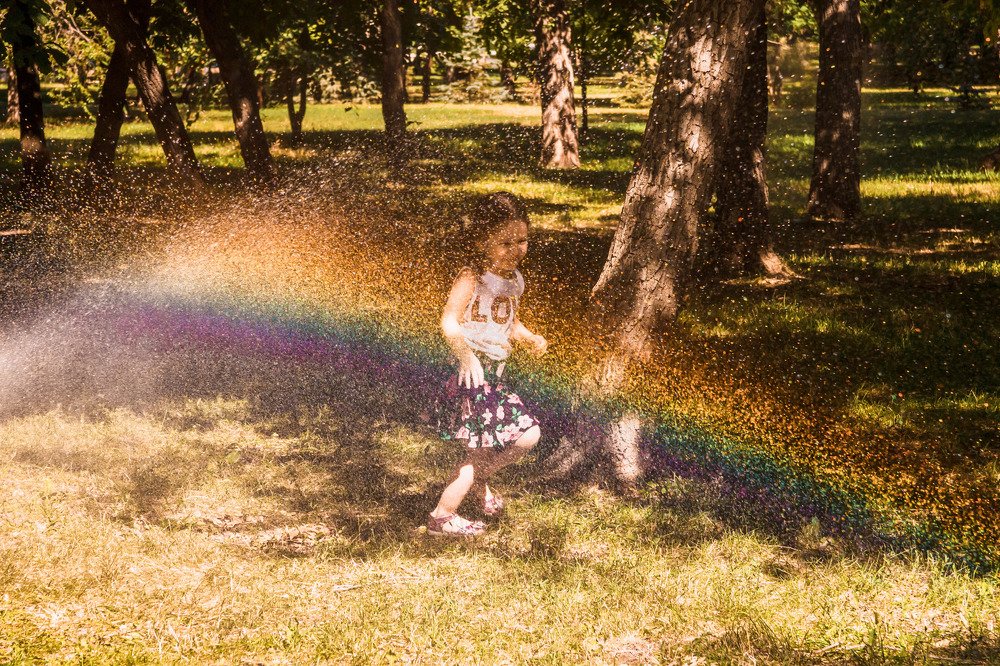 радуга в парке