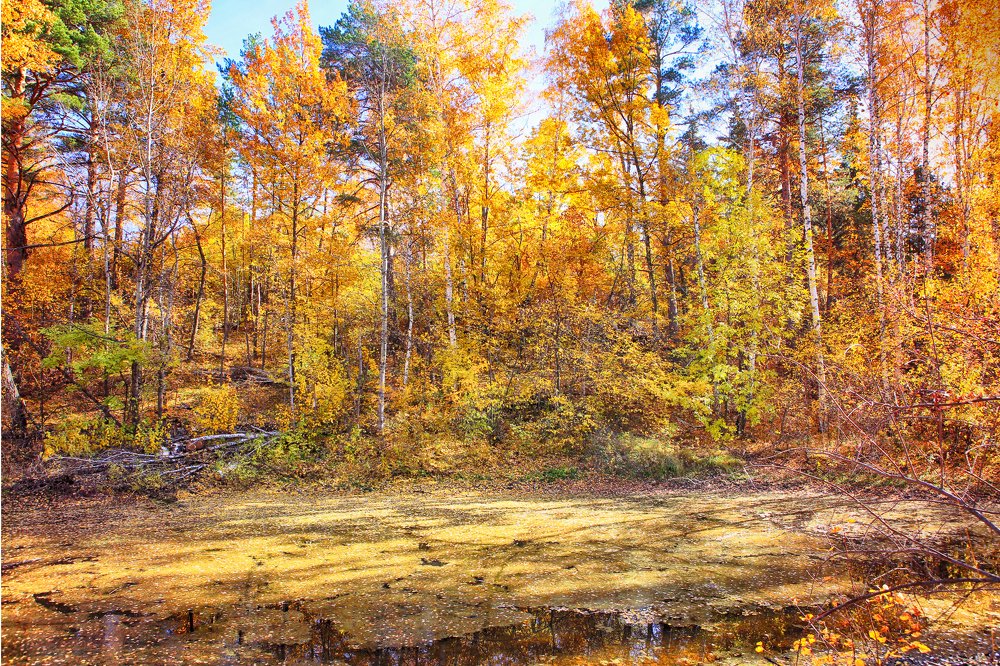 Photograph by Наталия Дмитриенко