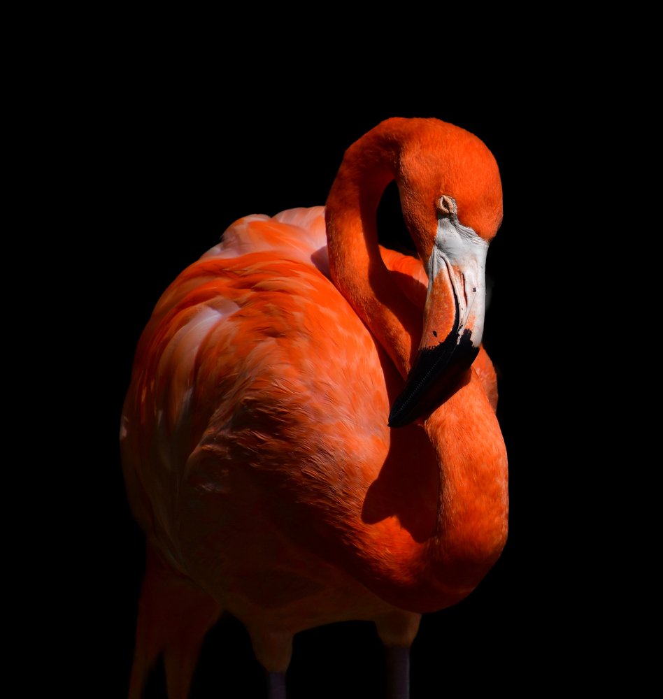 Фотография автора Evgeniya Fedorova