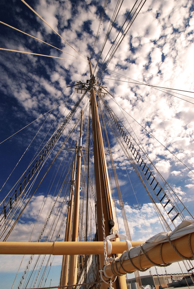 Photograph by Francisco Cabrita