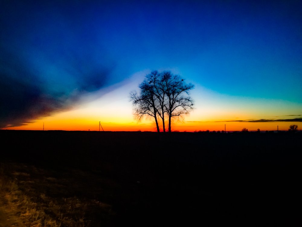 Photograph by Ирина Туркина