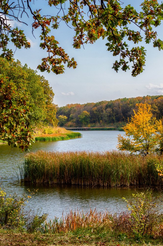 Photograph by Стельян Гаргала