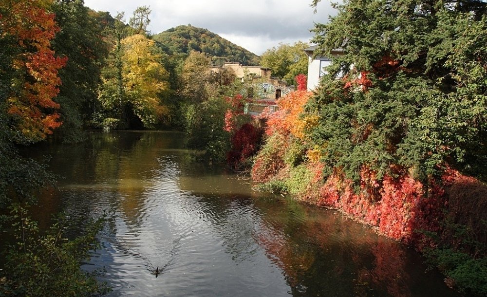 Photograph by Alexander Matschin