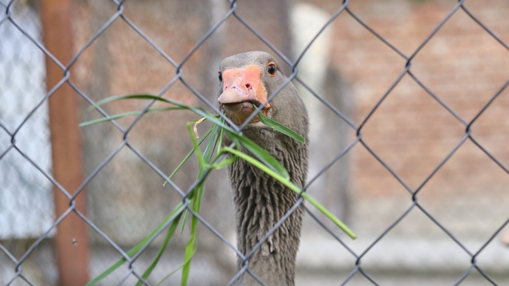 Photograph by Dmitry K