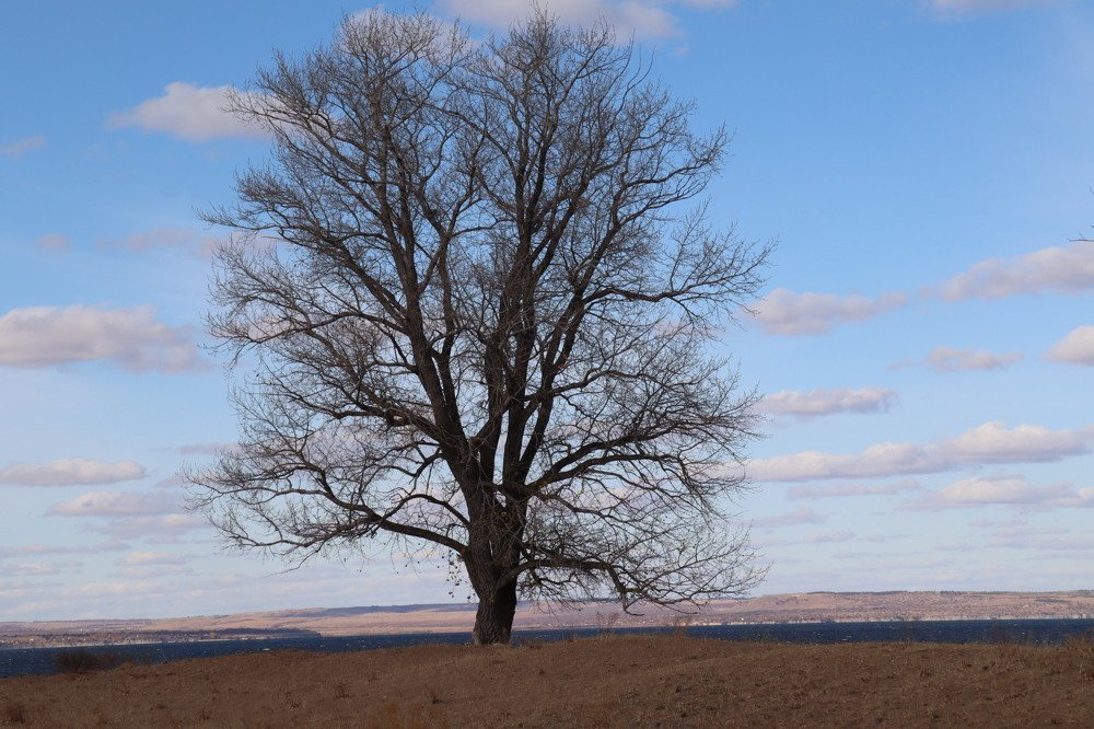 Photograph by Klimigo