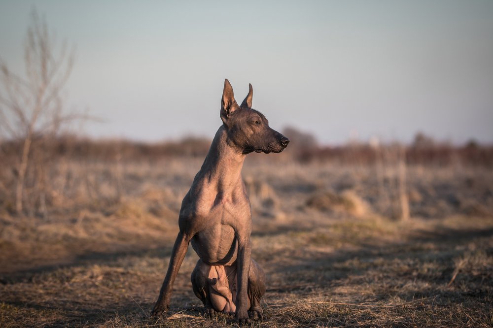 Photograph by Иван Кабалин