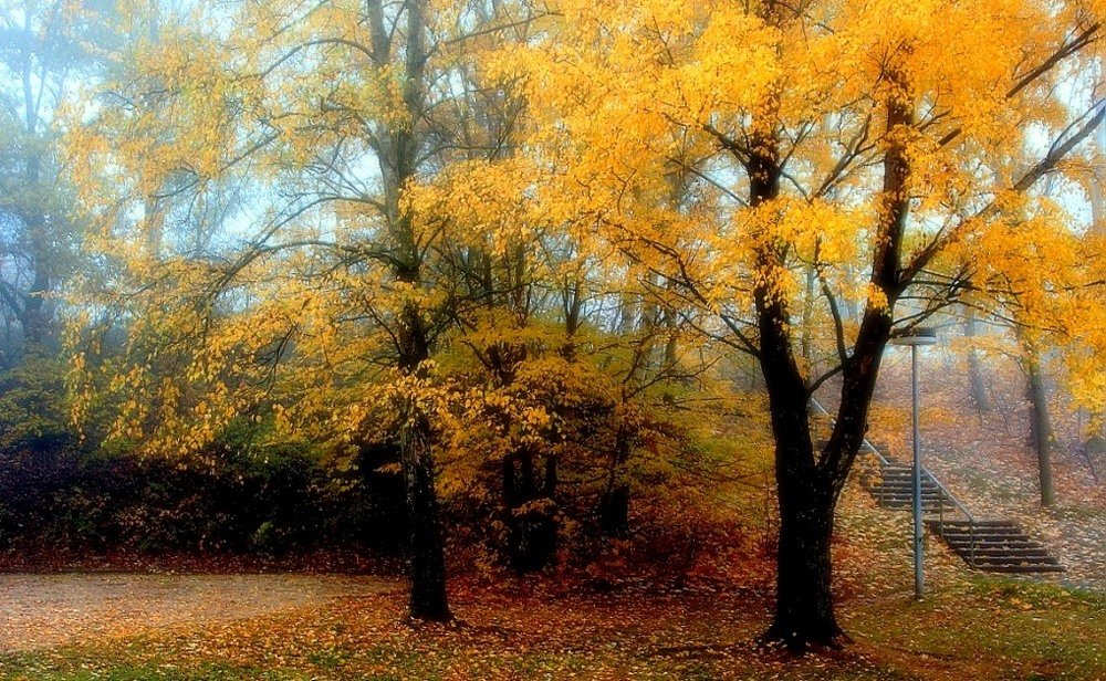 Осенняя поэзия.