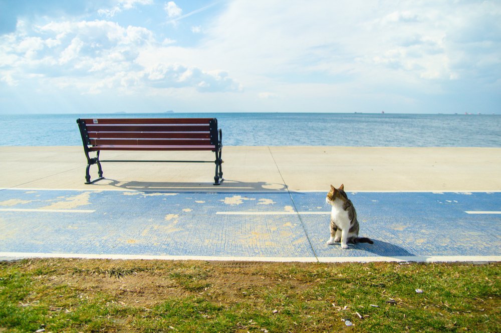 Photograph by Илья Смыков