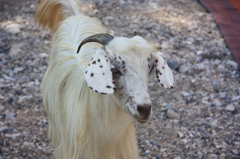 Photograph by Людмила Травина