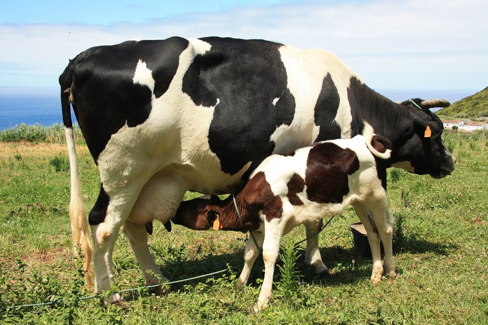 Photograph by Людмила Травина