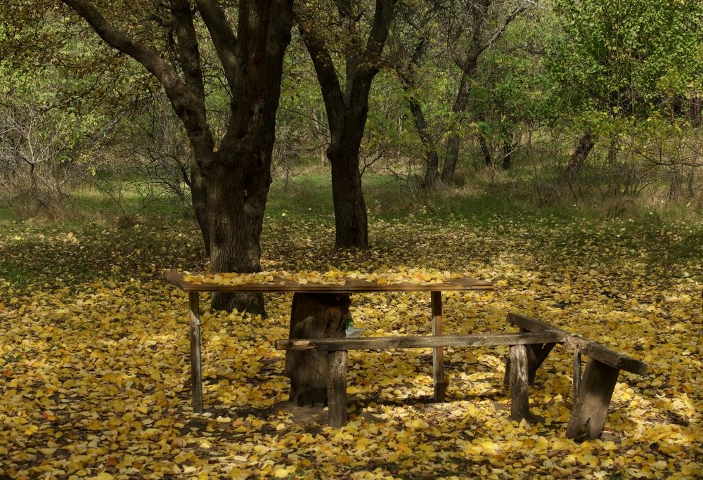 Photograph by Наталья Пирогова