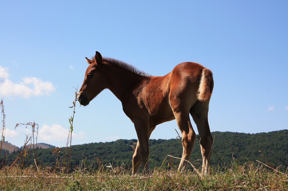 Photograph by Людмила Травина