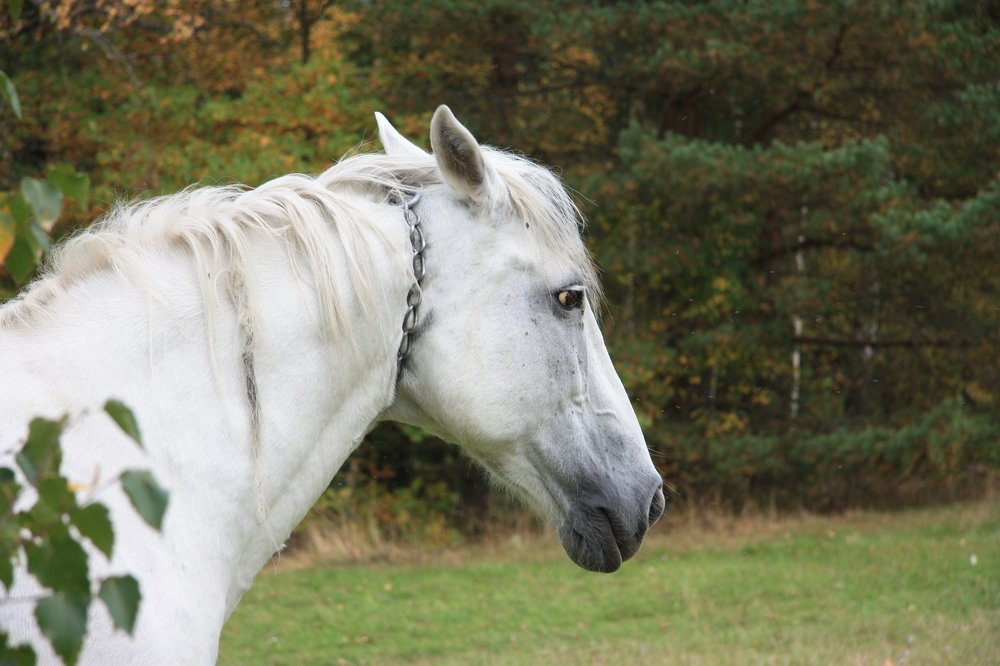 Photograph by Людмила Травина