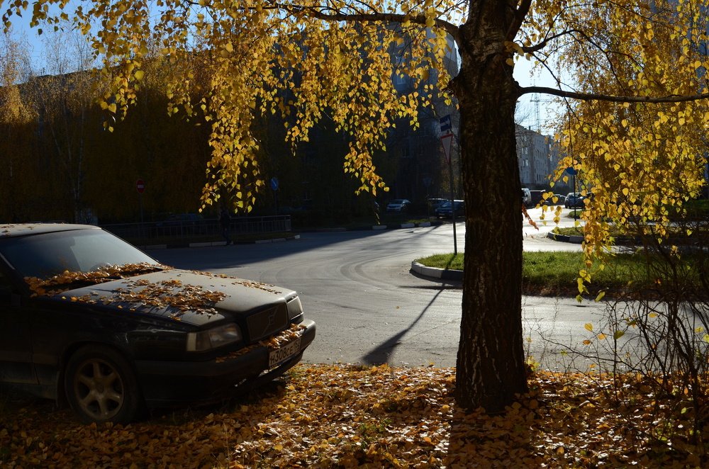 Фотография автора VALENTIN SCANDALIC