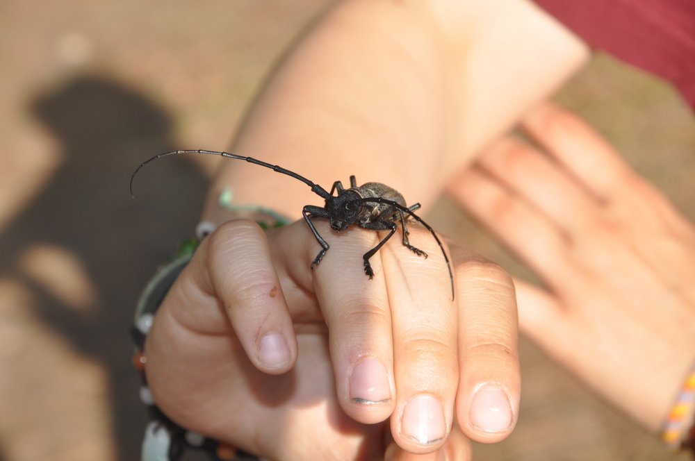 Photograph by Анастасия Езепчук