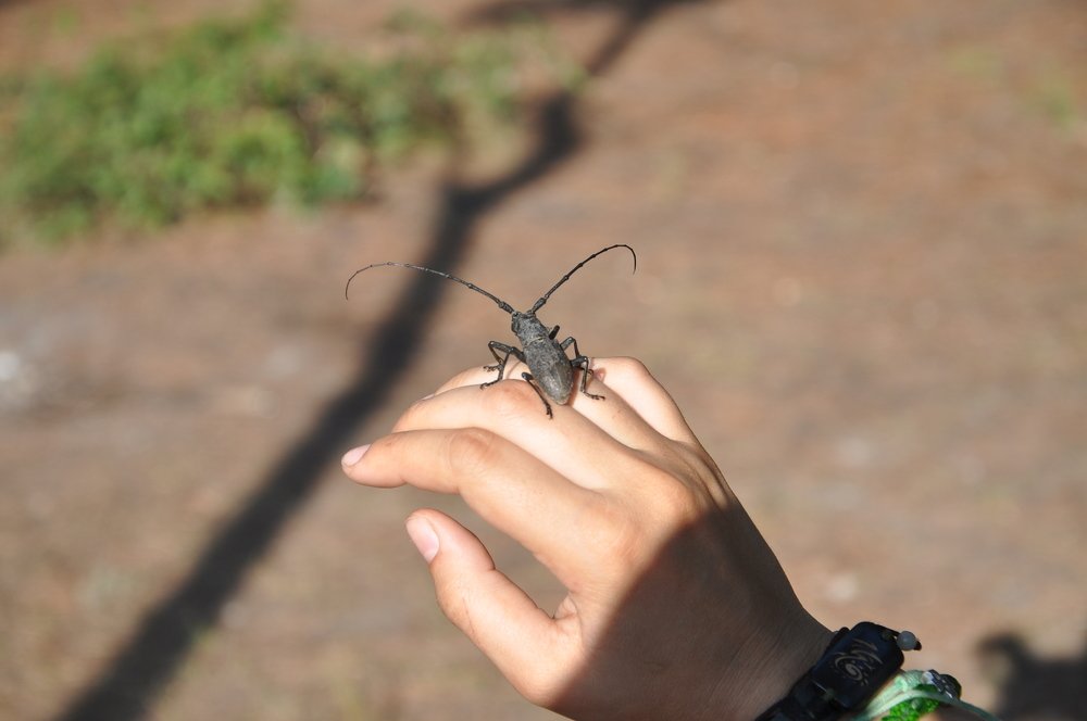 Photograph by Анастасия Езепчук