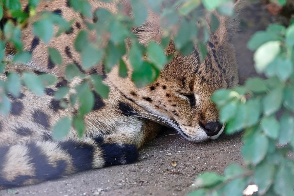 Photograph by Наталья Пирогова