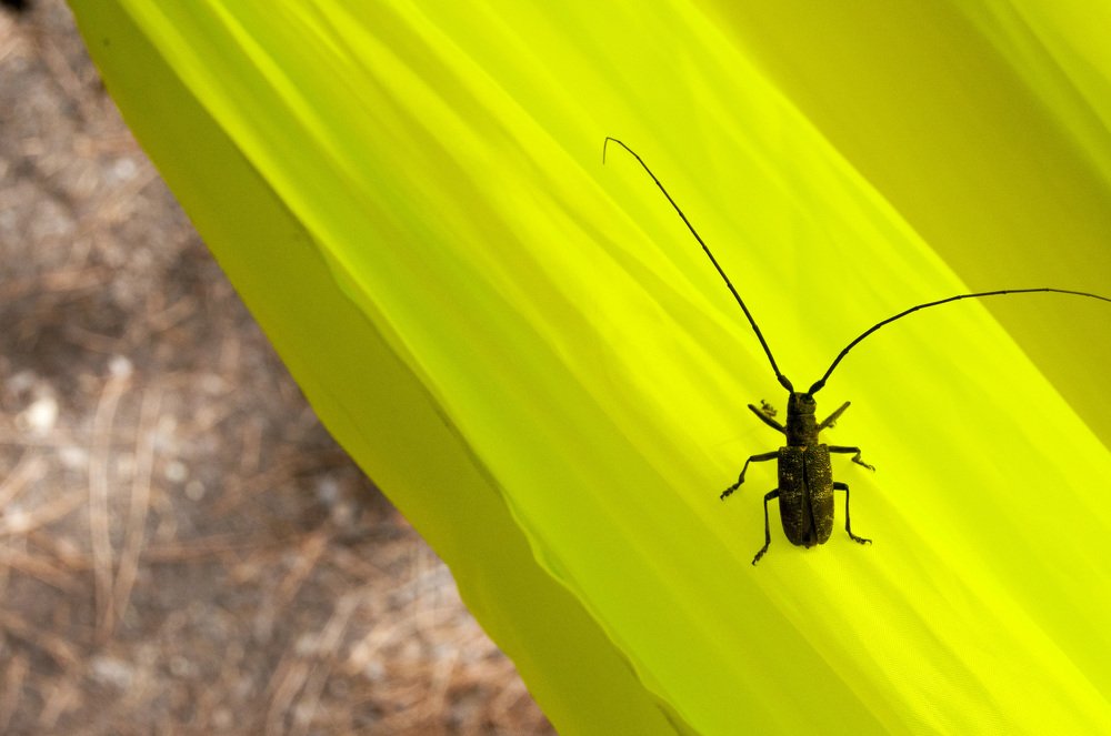 Photograph by Анастасия Езепчук