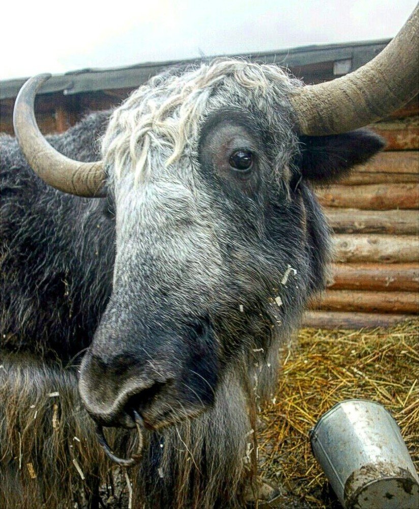 Фотография автора Валентина Рихмаер