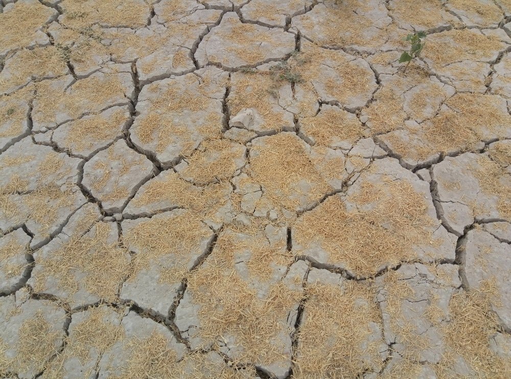 Photograph by Анастасия Езепчук