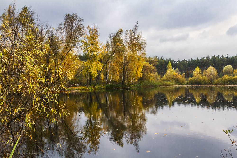 Photograph by Игорь Сарапулов