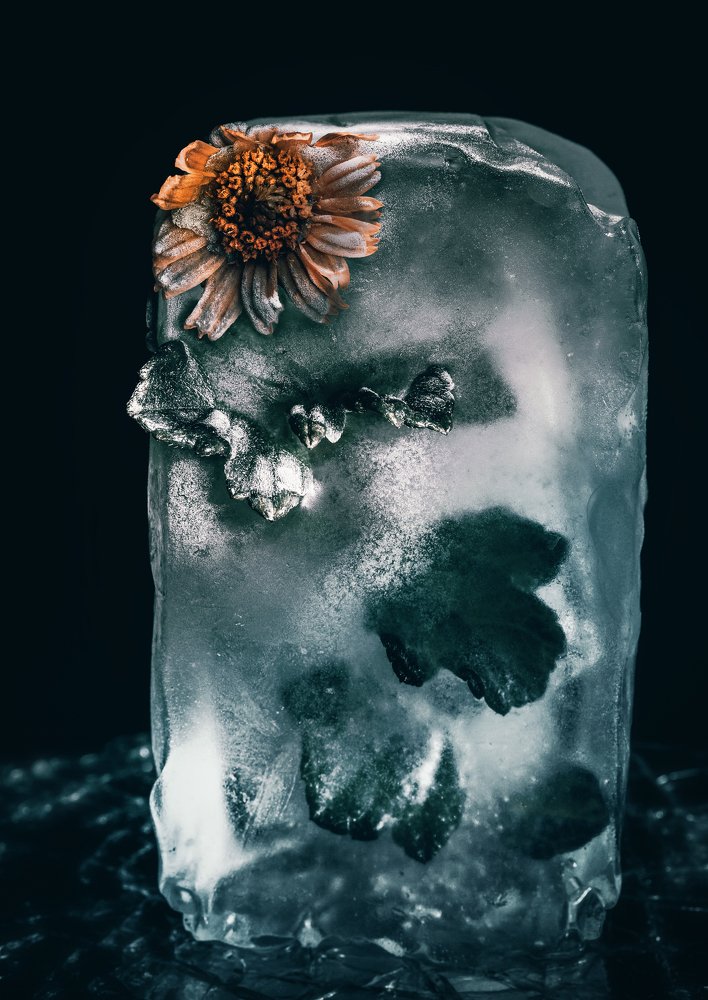 Photograph by Yuliia Nazarova