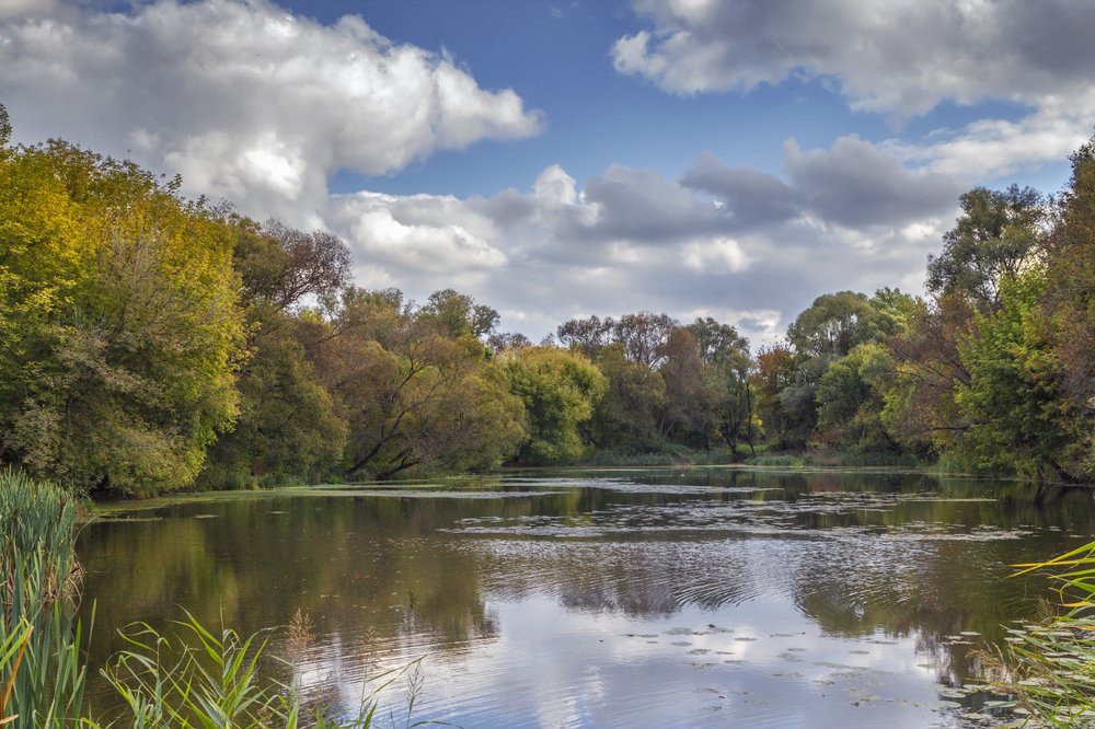 Photograph by Игорь Сарапулов