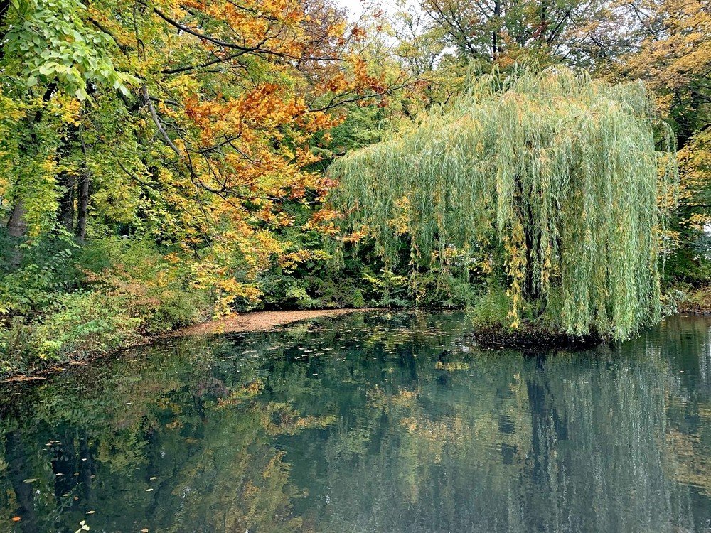 Photograph by Марина Дикманн