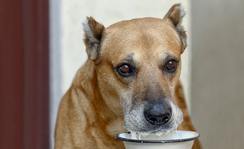 Photograph by Валерий Басыров