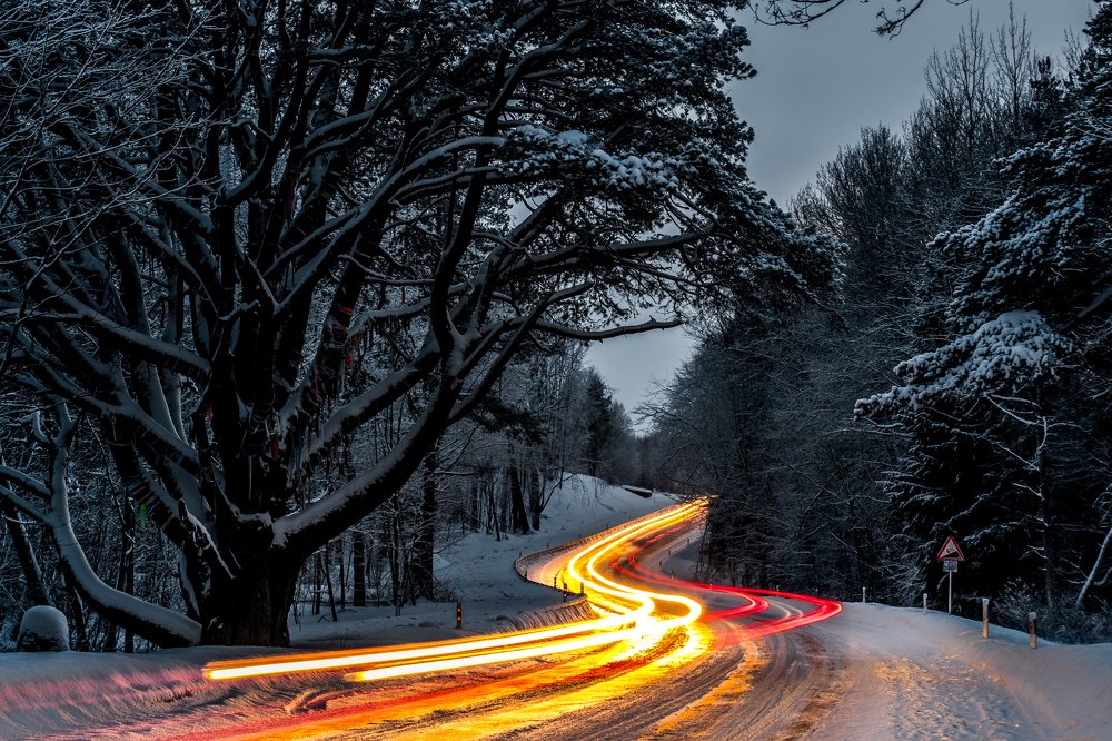 Photograph by Alla Matrosova