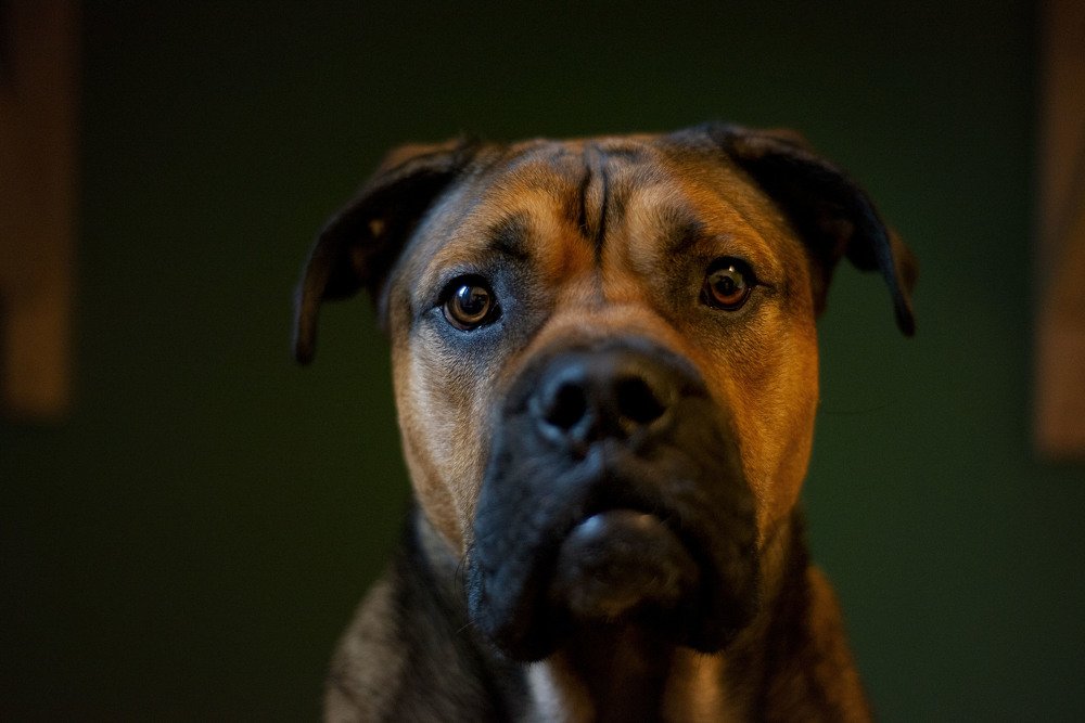 Photograph by Ольга Жогина