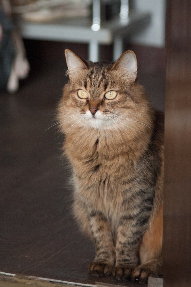 Photograph by Наталья Зорина