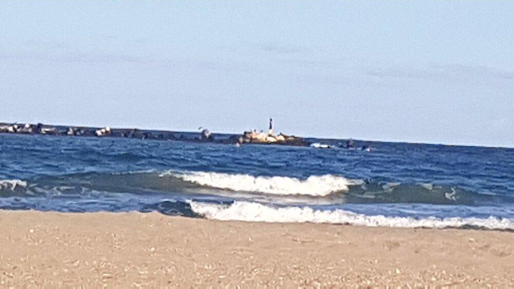 Seascape 2020