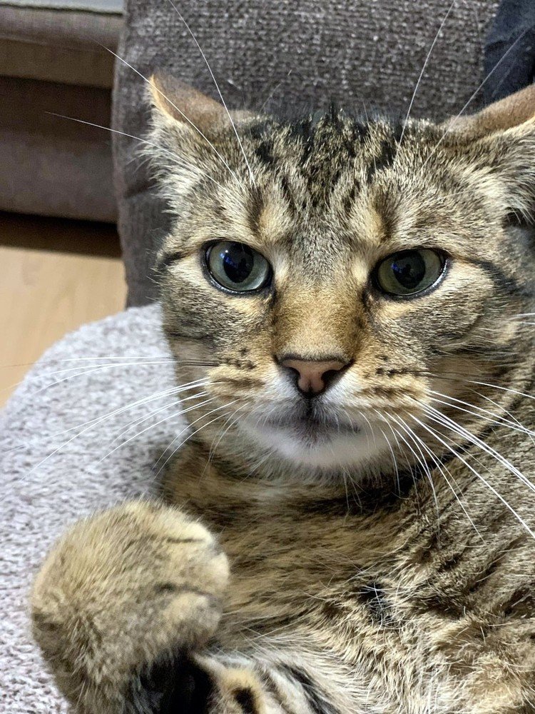 Photograph by Марина Дикманн