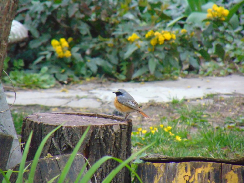 Photograph by Ольга Шевцова