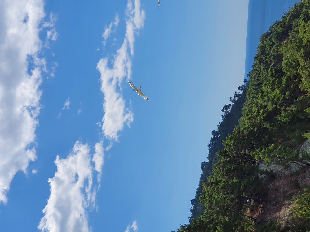 Photograph by Анастасия Езепчук