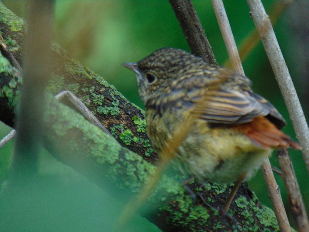 Photograph by Ольга Шевцова